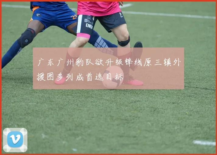 广东广州豹队欲升级锋线原三镇外援图多列成首选目标
