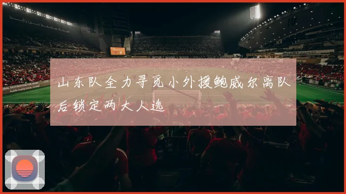 山东队全力寻觅小外援鲍威尔离队后锁定两大人选