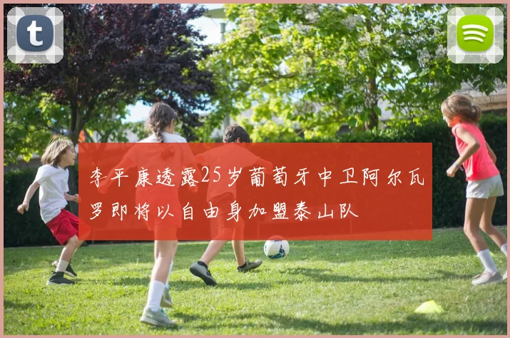 李平康透露25岁葡萄牙中卫阿尔瓦罗即将以自由身加盟泰山队