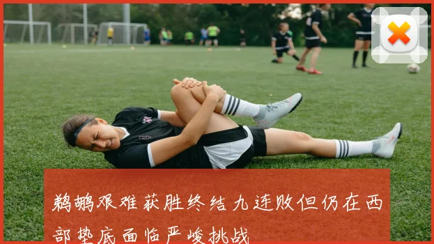 鹈鹕艰难获胜终结九连败但仍在西部垫底面临严峻挑战